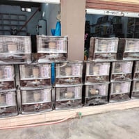 ديالى • الكترونيات • شهربان الهارونية