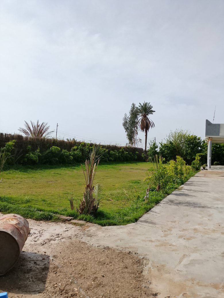 دونم طابو زراعي سند 25مسيج ماء كهربا مدارس مستوصف تبليط مطاعم  شاطيه مع دار حديثه ومشجره  واسط العزيزيه الدير  ***********
