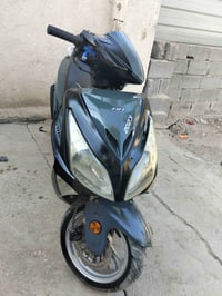 سلف • هورن • ما بيه نقص
