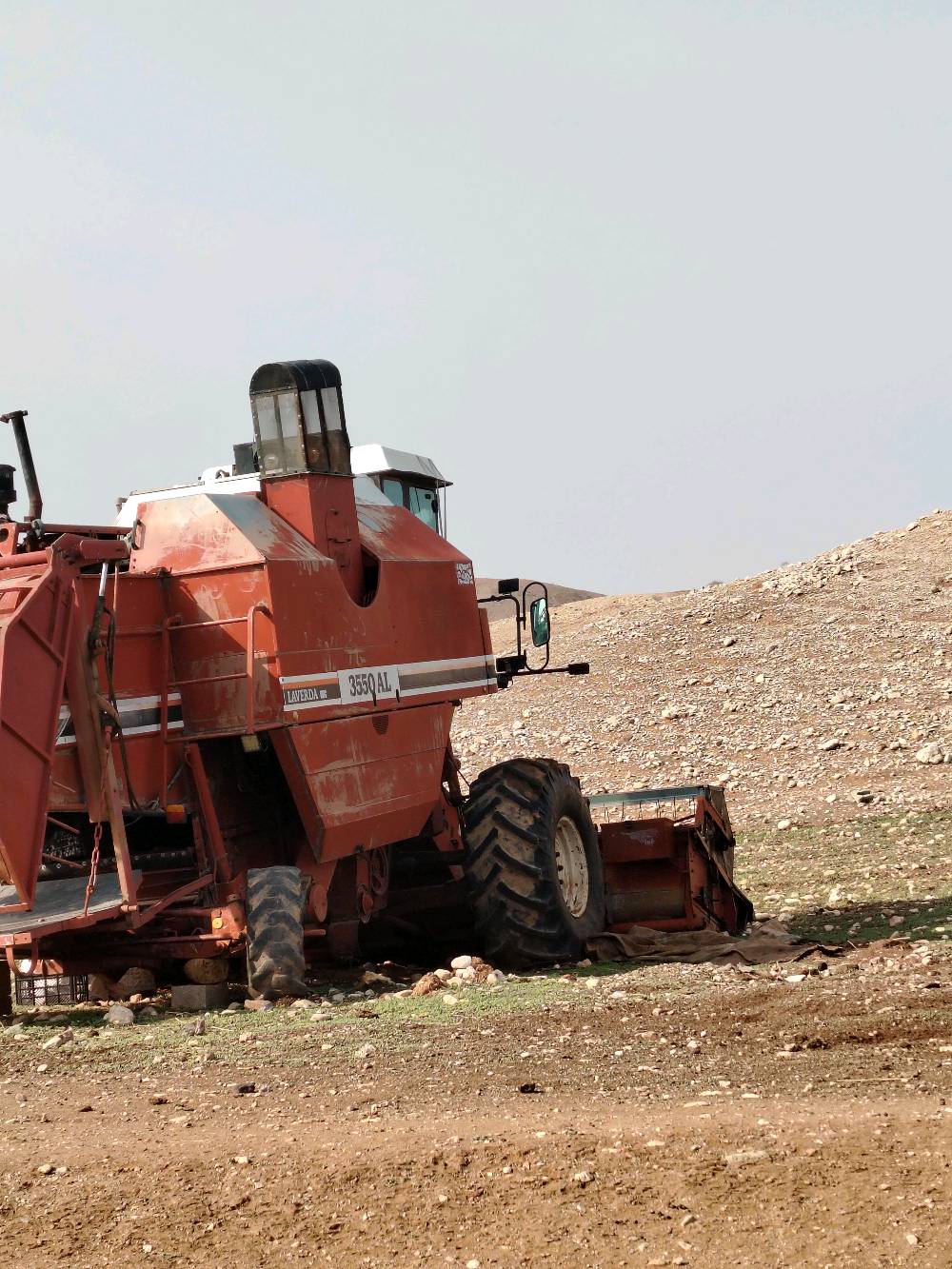 لاڤردا اوروپی مودیل١٩٩١سنوی اربعە تگرات جگ لل میلان جائز للحصاد
عنوان کرکوک لیلان