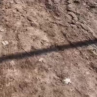 طابو زراعي • ٣٠٠م • طريق السنية