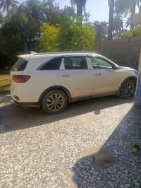 فول مواصفات • حادث ومعمره • مصبوغة