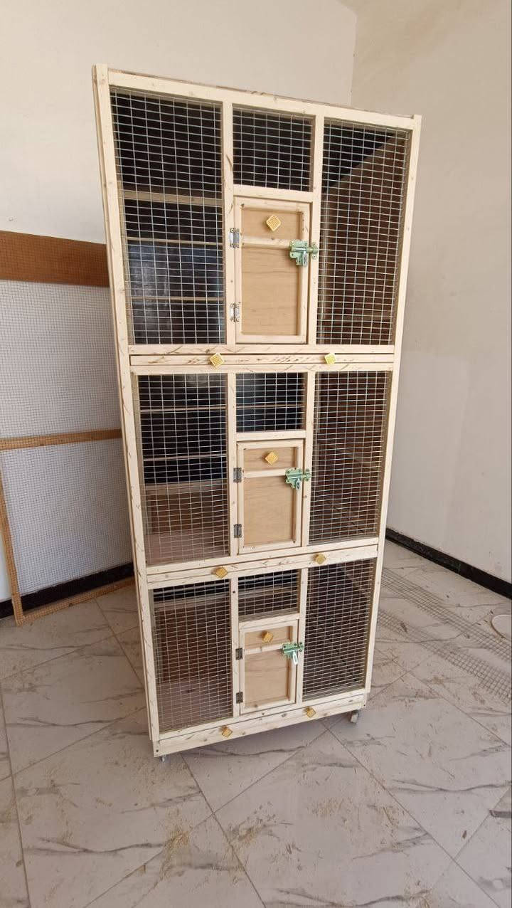 خانه دجاج القياس 60في 65 في 70  مستعدين توفير جميع خانات واقفاص الحمام بأنسب الاسعار وبجوده عليه حمام الزينه ودجاج الزينه  والقطط وكل انواع الحيوانات الاليفه  

***********
 واسط كوت حي الحكيم نزلت مستوصف الحياة
