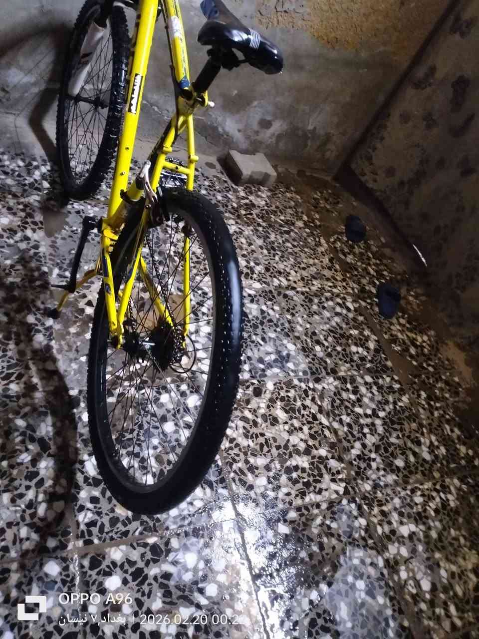 السلام عليكم وشكل للبيع رياضي العنوان بغداد مدينه الصدر حيدر الرقم ***********
