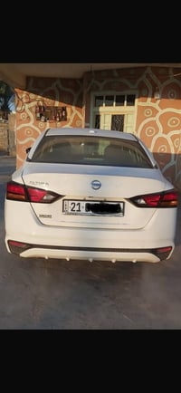 التيما • ٢٠١٩ • رقم سليمانية