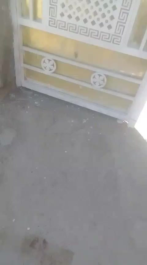 بيت ميه متر للايجار السقف سندويج شارع مشروع


**إذا كنت صاحب هذا الإعلان وتريد حذفه لأي سبب، رجاءا أرسل رسالة إلى الدعم الفني**