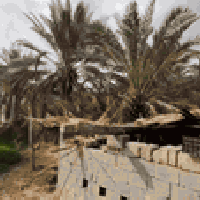 أرض زراعية • بيت ٣٠٠م • طوريج قرب الجسر