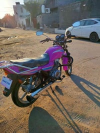 دايون موديل ٢٣ • أوراق أصلية • كربلاء حولي ١٠٠