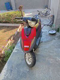 ماكس • عدله • بابل اسكندريه