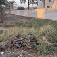 نصف دونم للبيع  الراشدية بالمراسمة وراء مشروع  تحويل بسم مشتري  كل خدم...