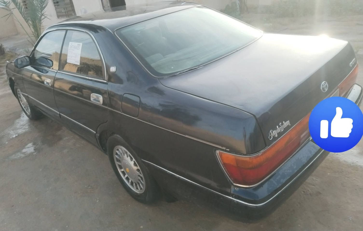 يالله
البيع بطه منفصل موديل 1995 رقم نجف ألماني سنويه 2029 تحويل ثاني يوم بسمك  مكينه 2500 السياره جاهزه مكينه وكير وحداديه وتبريد خير من الله كفاله من الكصه والعيب الشرعي والنقل جثه من الضربه القويه السياره جديده بمعنه الكلمه السعر 49 وبيه مجال الشراي
العنوان طريق كربلاء نجف عامود 250
رقم الهاتف *********** /***********
اي استفسار اتصل على الرقم وبيك خير وتدلل
