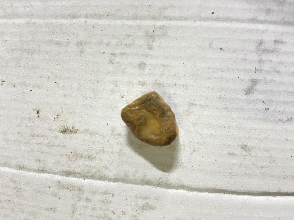 للبيع قيم باليرضي الله
اتساب فقط ***********
