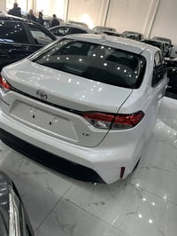 قسط • مقدمه ٦٥ ورقه • بلا كفيل