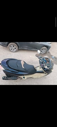 فورزه • ٢٠٠٨ • شغالة
