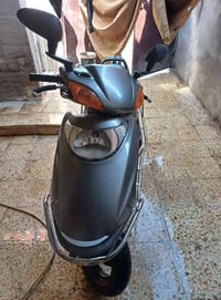 سبيسي ياباني • مكفولة • الرفاعي ذي قار