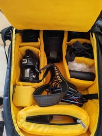 نيكون 90D • عدسة 50مم • زوم 70-300