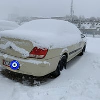 نيسان صني • ٢٠١١ • بصاحب