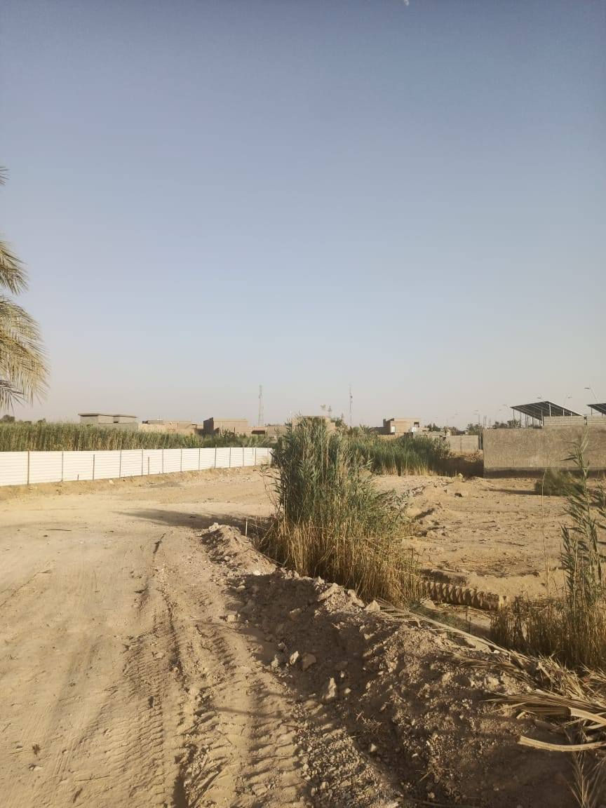 قطعة ارض زراعيه غير مشجره طابو صرف مساحتها 1300 متر مربع (الطول ٥٦متر و العرض ٢٣متر ) الموقع  حي البكر  تبعد عن الشارع التبليط حوالي 25 متر مقابل اسواق  غزوان حامد ارديعان
ملاحظه (الارض نظيفه ومدفونه)  للاستفسار الاتصال *********** ابو داود
