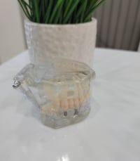 موديل اسنان • جديد