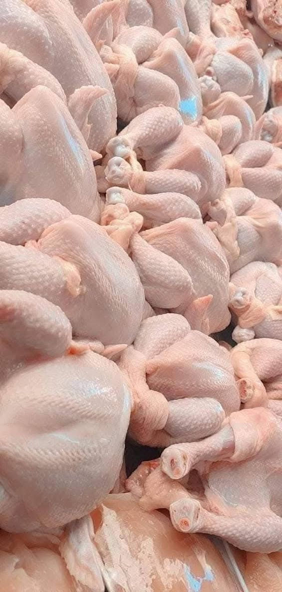 انت عليك تطلب والباقي يمنا
شغلنا كل يوم بيومه
متوفر 
دجاج 🐔
صدر دجاج 
اجنحه دجاج 
افخاذ دجاج
توصيل داخل السماوه 2000
***********
