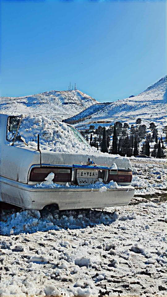 سدریک بۆفرۆشتن  2001 گێڕوو مەکینەی بەشەرت تەبریت ساردو گەرم ئیشەکە سنوی بەشەرت سنوی بەسەرچوە تەحویل بەشەرت 3وەرەقە غەرامەی لەسەرە ئەگەڕێتەوە هەموو گیانی بەشەرت شوێن قەرەنجیر سعر 30 گەڵاو مجاڵ..***********
*********** شمشمل, السليمانية
