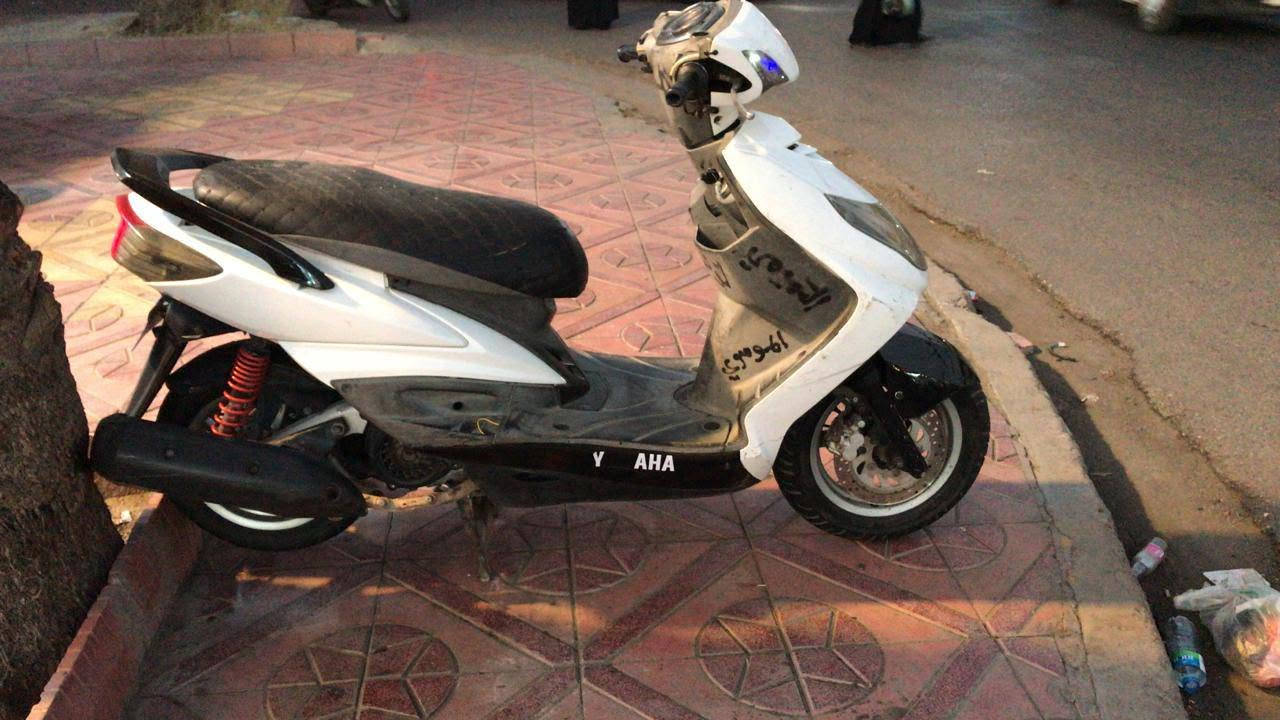 سكنس فحل خطين  650 الدولعي الحريه ***********
