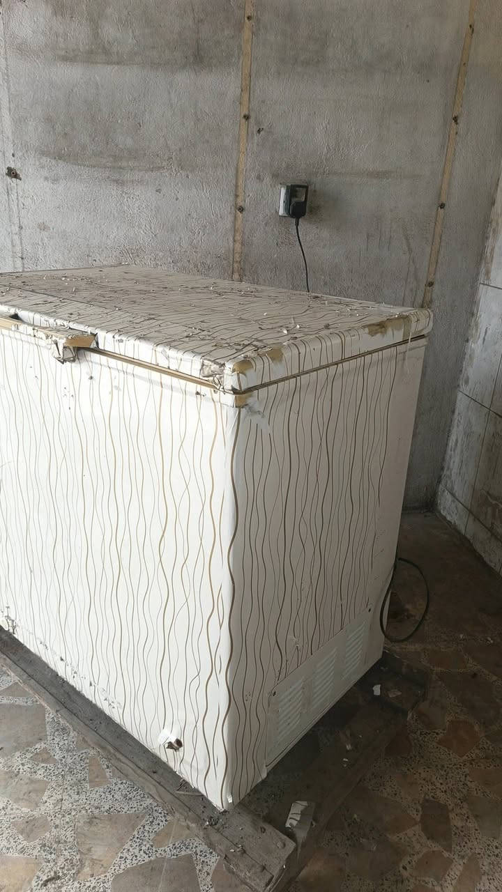 السلام عليكم مجمده نعوعيه Keynote نوعيه ممتازه شرط ضمان التجميد حجم وسط (سعر ١٢٥) وبيه مجال العنون (بغداد الحريه )رقم (***********)
