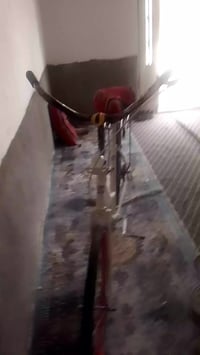 بسكليت • طوريج