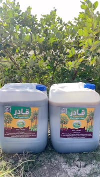 بابل • ديكور • حديقة