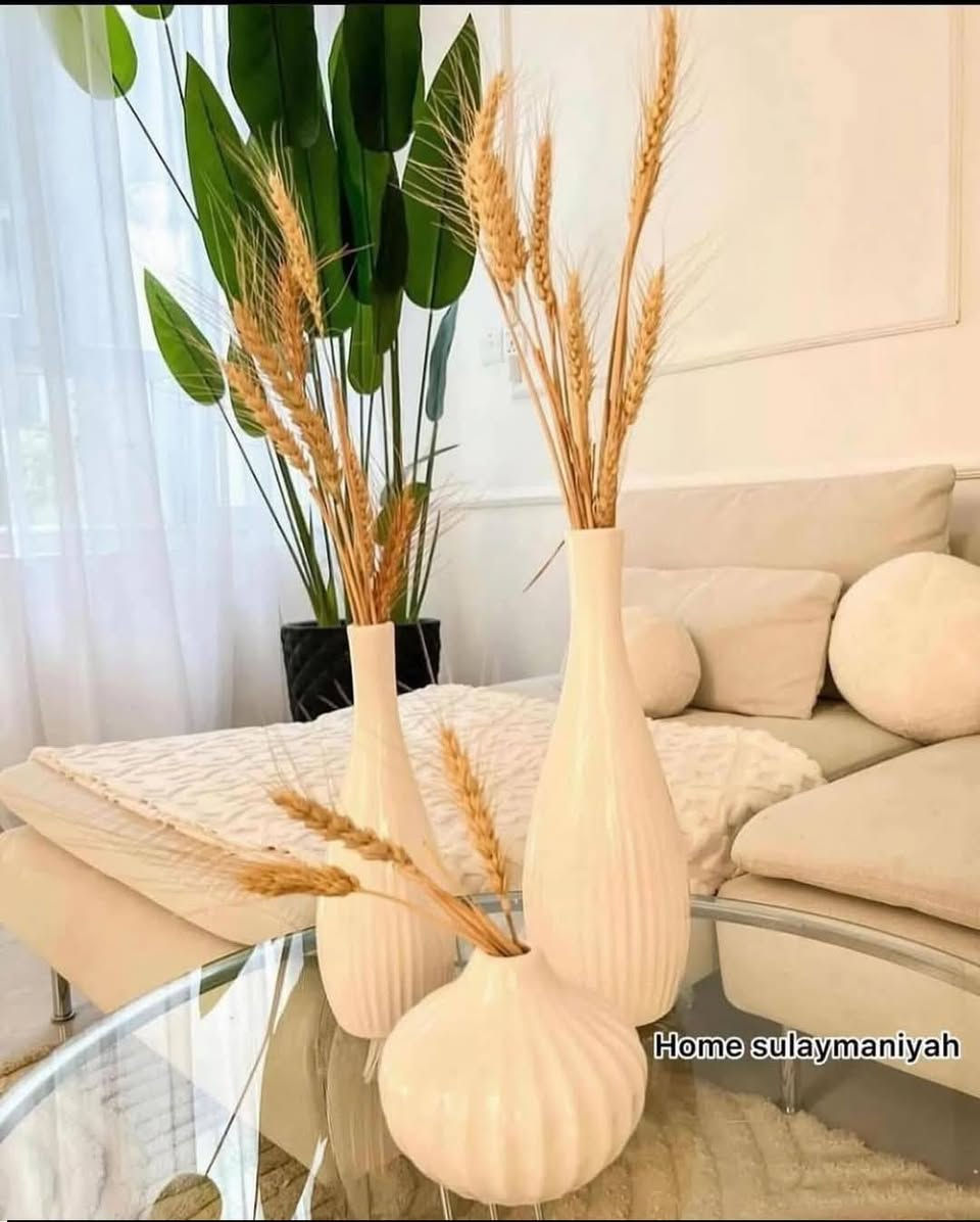 العنوان حله نادر الثانيه


**إذا كنت صاحب هذا الإعلان وتريد حذفه لأي سبب، رجاءا أرسل رسالة إلى الدعم الفني**