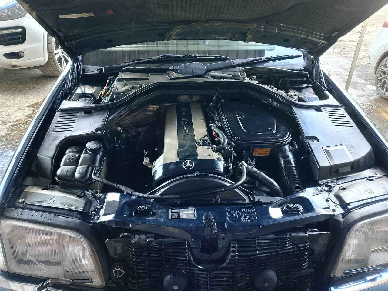 السلام عليكم من رخصت الأدمن المحترم مارسدس شبح 320 رقم بغداد مميز عتراف مباشر  موديل 92 صبغ عام لجماليه بدون ضربه بدون تبديل بدون خياس كبر ومكينه خير من الله حداديه خير من الله كهربائيات علشركه مملعوب بيها غرفه جلد جديده دبل جام فتحه سقف تخم تاير جديد ترايك وين متريد مكاني كربلاء حولي 100خلف السفاره التركيه للأستفسار الأتصال على الرقم 
*********** السعر 78$
