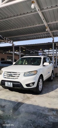 سنتافيه • ٢٠١١ • بدون صبغ