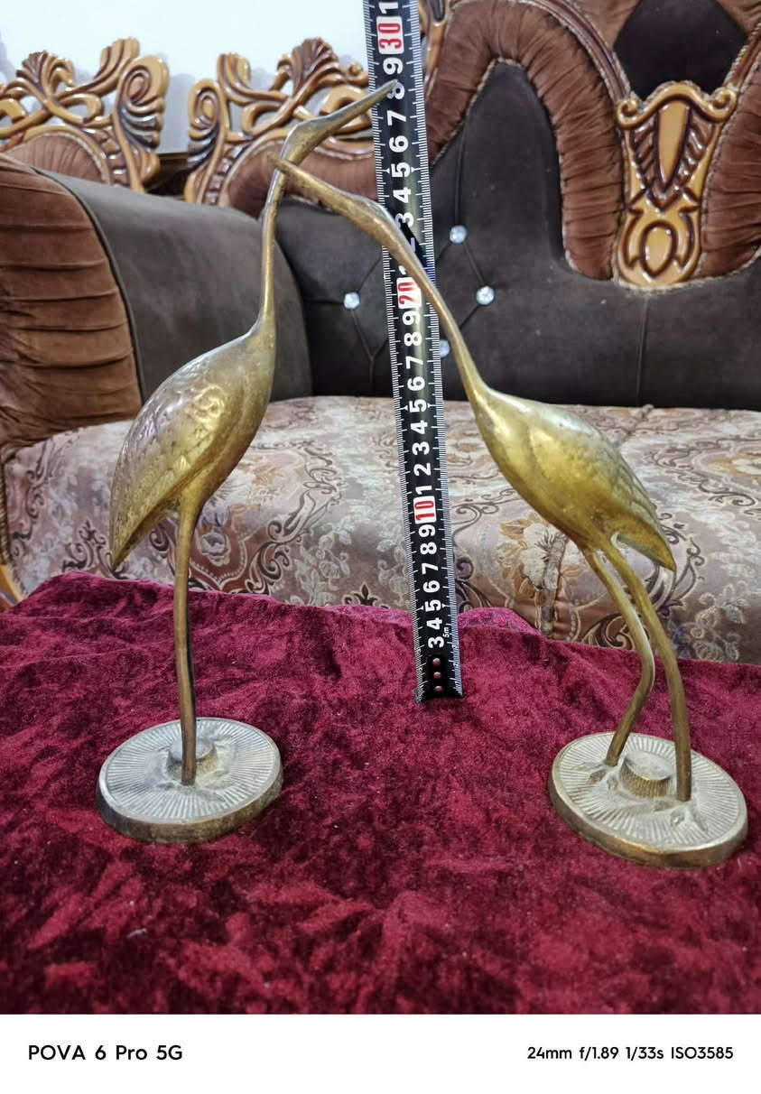 يوجد توصيل كل محافظات


**إذا كنت صاحب هذا الإعلان وتريد حذفه لأي سبب، رجاءا أرسل رسالة إلى الدعم الفني**