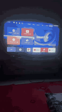 شاشه سامسونك حجم ٦٠ مستخدمه ٥ ايام للبيع سعر ٢٧٥ وبيها مجال   والرقم ***********٢
