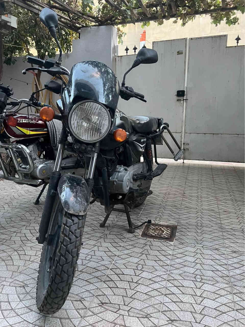 بۆکسر ئەسلی هیندی 
٢٠٢١ 
رەقەم هەولێر
١،٢٥٠،٠٠٠ 
واتسپ کۆرەك/ *********** أربيل, العراق
