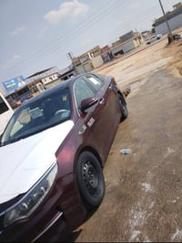 اوبتيما • ٢٠١٦ • النجف الاشرف