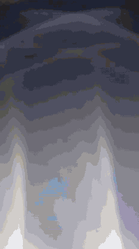 دراجه تايكر موديل 2026دراجه مكفوله اي نقص مابيها الا ستفسار تصل على الرقم (***********)سعرها 700وبيها مجال مكاني قضاء الخالص ناحية هبهب
