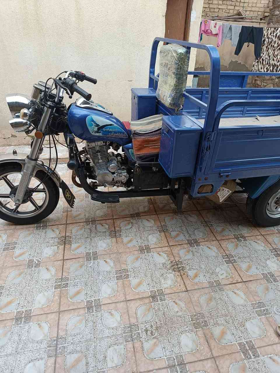 ستوته جمرة ٢٣للبيع او مراوس دايون ٢٢
مكاني شطرة 
رقم***********
