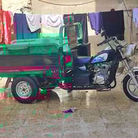 ستوته • صقر • ٢٠٢٣