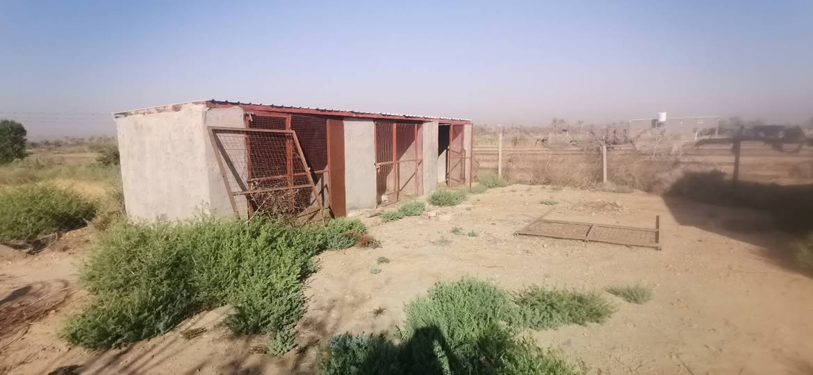🌏 قطعة أرض زراعية للبيع بمساحة اثنين ونص دونم في النجف - الحيرة، شارع معمل الغاز (منطقة المراشدة).

* الواجهة: 35 متر.
* النوع: طابو زراعي (سند 25 إقرار محكمة من صاحب الأرض مباشرة).
* المشتملات: تحتوي على بيت استراحة (3 غرف).
* الخدمات: كافة الخدمات متوفرة ( ماء + كهرباء ).
* السعر: 65 .

📞 للتواصل والاستفسار عبر الواتساب مباشرة:
اضغط على الرقم أو راسلنا: *********** النجف, العراق
