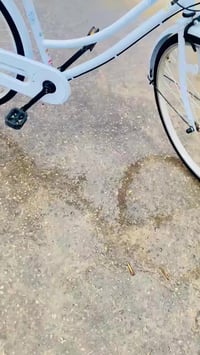 حجم ٢٦ • ياباني اصلي • موديل ٢٠٢٢