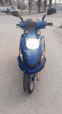 دولفين • مكينه خرسه • بابل القاسم