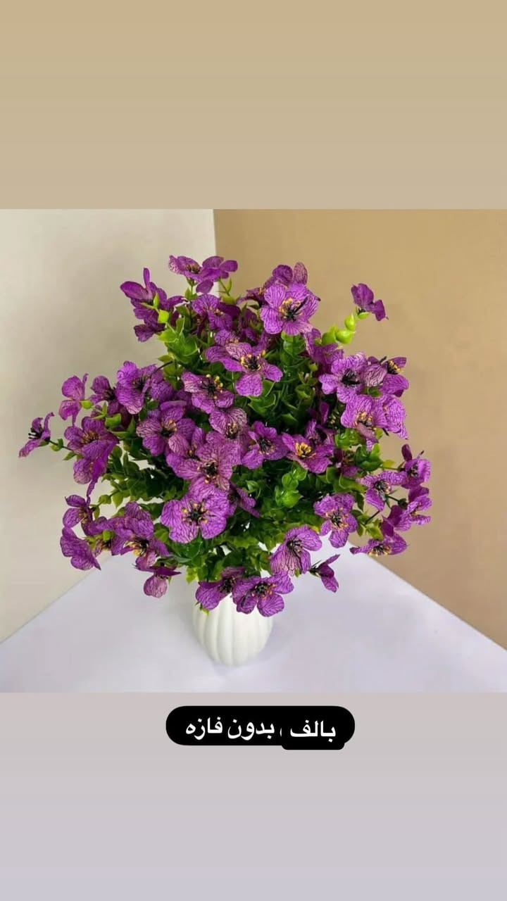 كلشي بالف القطعة بالف بس الحجز خاص


**إذا كنت صاحب هذا الإعلان وتريد حذفه لأي سبب، رجاءا أرسل رسالة إلى الدعم الفني**