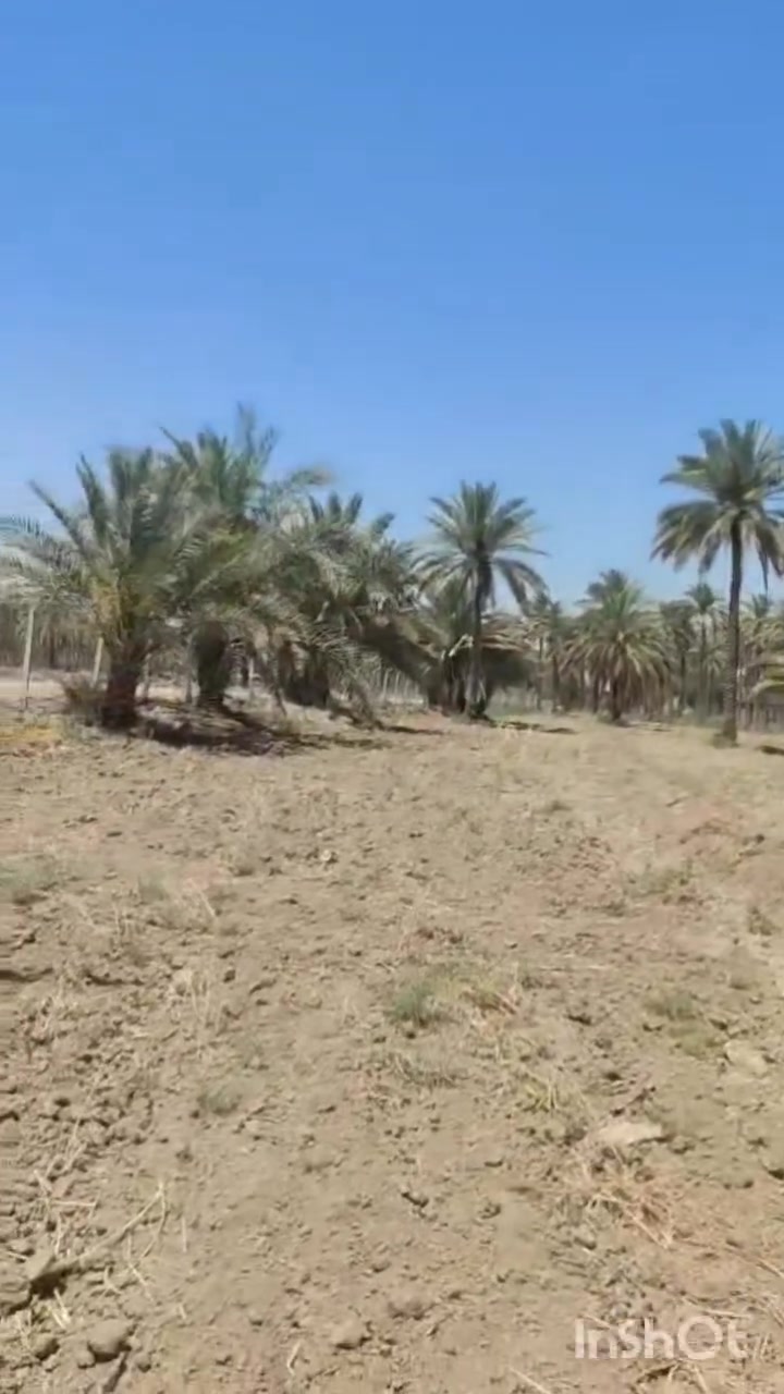 السلام عليكم دونمين وربع للبيع طابو زراعي سند 25 كربلاء طوريج طريق محمد العابد الطبر واجهة 100متر مسيجة بل كامل كهرباء وماء اسالة وسقي تحويل مباشر تصلح للسكن تبعد عن الشارع العام ٨٠٠ متر كلة تبليط السعر المطلوب  ٩٠ مع المجال للاستفسار الاتصال على الرقم *********** او ***********
