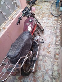 سافاني • شغاله • بليته