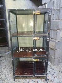 كلمن • درجة أولى • بصرة