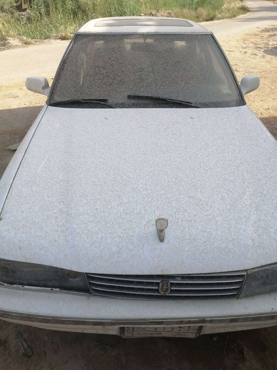 سياره مارك ١٩٩١
سيره حلوه
محرك بيه بخار
كير اكسن مكفولات
تخم تاير
غرفه نضيفه
السياره مكفول من الكص
الاتصال***********
