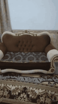 تخم تسكام • مستعمل نظيف • حله ثوره