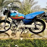 تايكر • بدون اوراق • دلي عباس