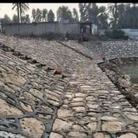 خدمات • بدون تفاصيل • للاتصال